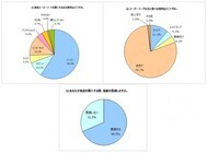 沖縄スーパーフード協会 のプレスリリース画像4