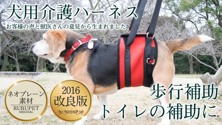 株式会社ベルミーのプレスリリース