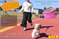 株式会社ベルミーのプレスリリース