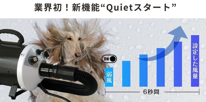 一番の Maple Tree House犬 ドライヤー メガブロー 風量 温度無段階調節 業務パワー 業界初 Quietスタート機能搭載  安心の日本規格 PSE取得商品