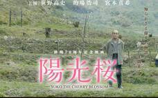 特定非営利活動法人イマジンのプレスリリース画像1