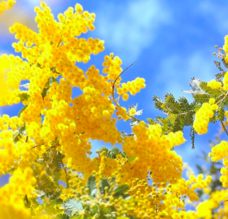 特定非営利活動法人イマジンのプレスリリース画像1