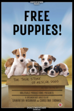 特定非営利活動法人イマジンのプレスリリース画像1