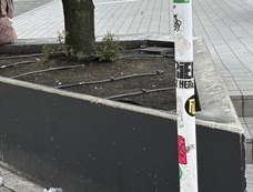 特定非営利活動法人イマジンのプレスリリース画像2