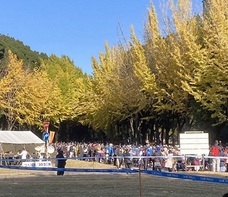 特定非営利活動法人イマジンのプレスリリース画像2