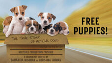 特定非営利活動法人イマジンのプレスリリース画像1