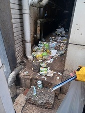 特定非営利活動法人イマジンのプレスリリース画像1