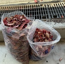 特定非営利活動法人イマジンのプレスリリース画像1