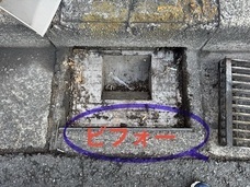 特定非営利活動法人イマジンのプレスリリース画像1