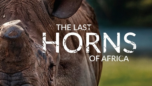 特定非営利活動法人イマジンのプレスリリース見出し画像