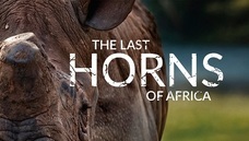 特定非営利活動法人イマジンのプレスリリース