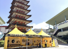 特定非営利活動法人イマジンのプレスリリース