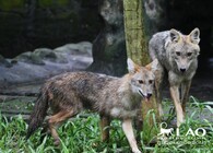 青木紗良のプレスリリース画像1