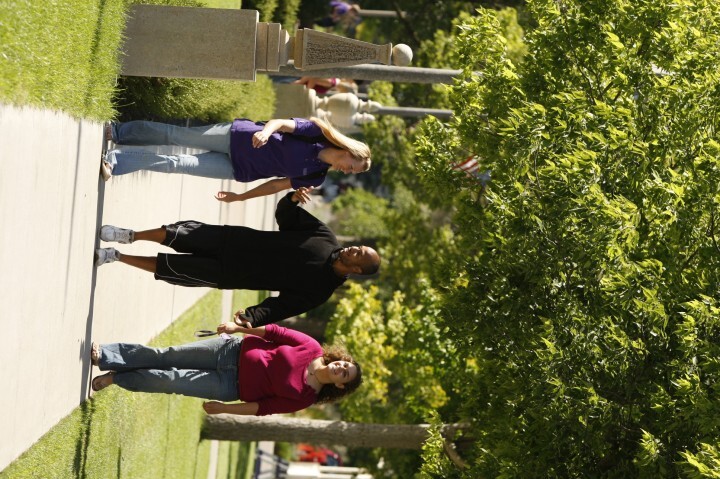 栄 陽子留学研究所のプレスリリース画像1