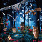 ゴシックホリックのプレスリリース画像4