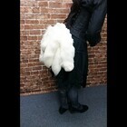 ゴシックホリックのプレスリリース画像5