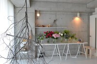 Plant's Orchestraのプレスリリース