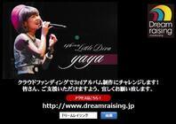 株式会社ドリームレイジングのプレスリリース画像1