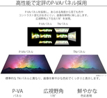 株式会社JAPANNEXTのプレスリリース画像6