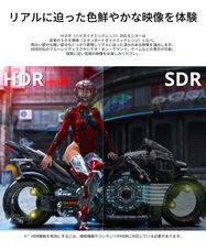 株式会社JAPANNEXTのプレスリリース画像19