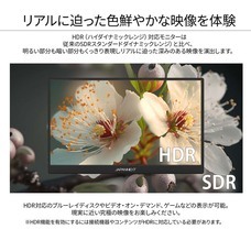 株式会社JAPANNEXTのプレスリリース画像3