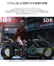 株式会社JAPANNEXTのプレスリリース画像18