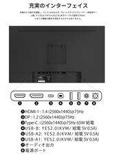 株式会社JAPANNEXTのプレスリリース画像19