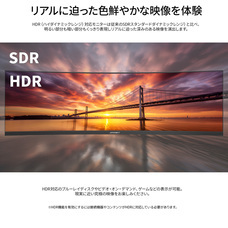 株式会社JAPANNEXTのプレスリリース画像10