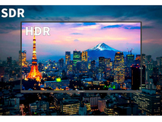 株式会社JAPANNEXTのプレスリリース画像13