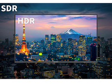 株式会社JAPANNEXTのプレスリリース画像5