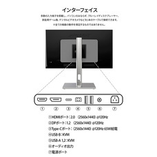 株式会社JAPANNEXTのプレスリリース画像13