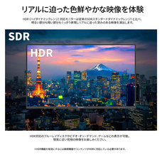 株式会社JAPANNEXTのプレスリリース画像18