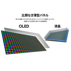 株式会社JAPANNEXTのプレスリリース画像10