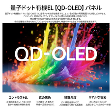 株式会社JAPANNEXTのプレスリリース画像12