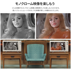 株式会社JAPANNEXTのプレスリリース画像10