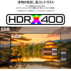 株式会社JAPANNEXTのプレスリリース画像12