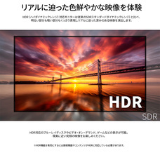 株式会社JAPANNEXTのプレスリリース画像6