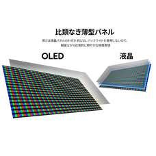 株式会社JAPANNEXTのプレスリリース画像2