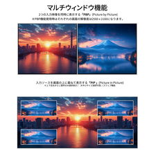 株式会社JAPANNEXTのプレスリリース画像12