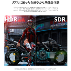 株式会社JAPANNEXTのプレスリリース画像11