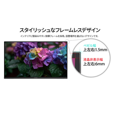 株式会社JAPANNEXTのプレスリリース画像7