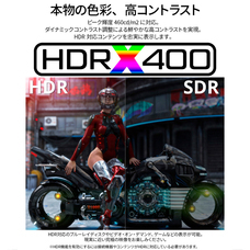 株式会社JAPANNEXTのプレスリリース画像5