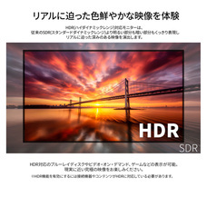 株式会社JAPANNEXTのプレスリリース画像8