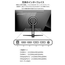 株式会社JAPANNEXTのプレスリリース画像13