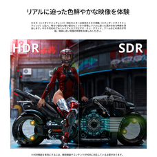 株式会社JAPANNEXTのプレスリリース画像8