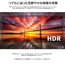 株式会社JAPANNEXTのプレスリリース画像10