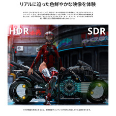 株式会社JAPANNEXTのプレスリリース画像5