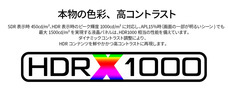 株式会社JAPANNEXTのプレスリリース画像17
