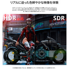 株式会社JAPANNEXTのプレスリリース画像12