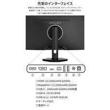 株式会社JAPANNEXTのプレスリリース画像10